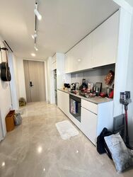 Amber Park (D15), Condominium #496152451